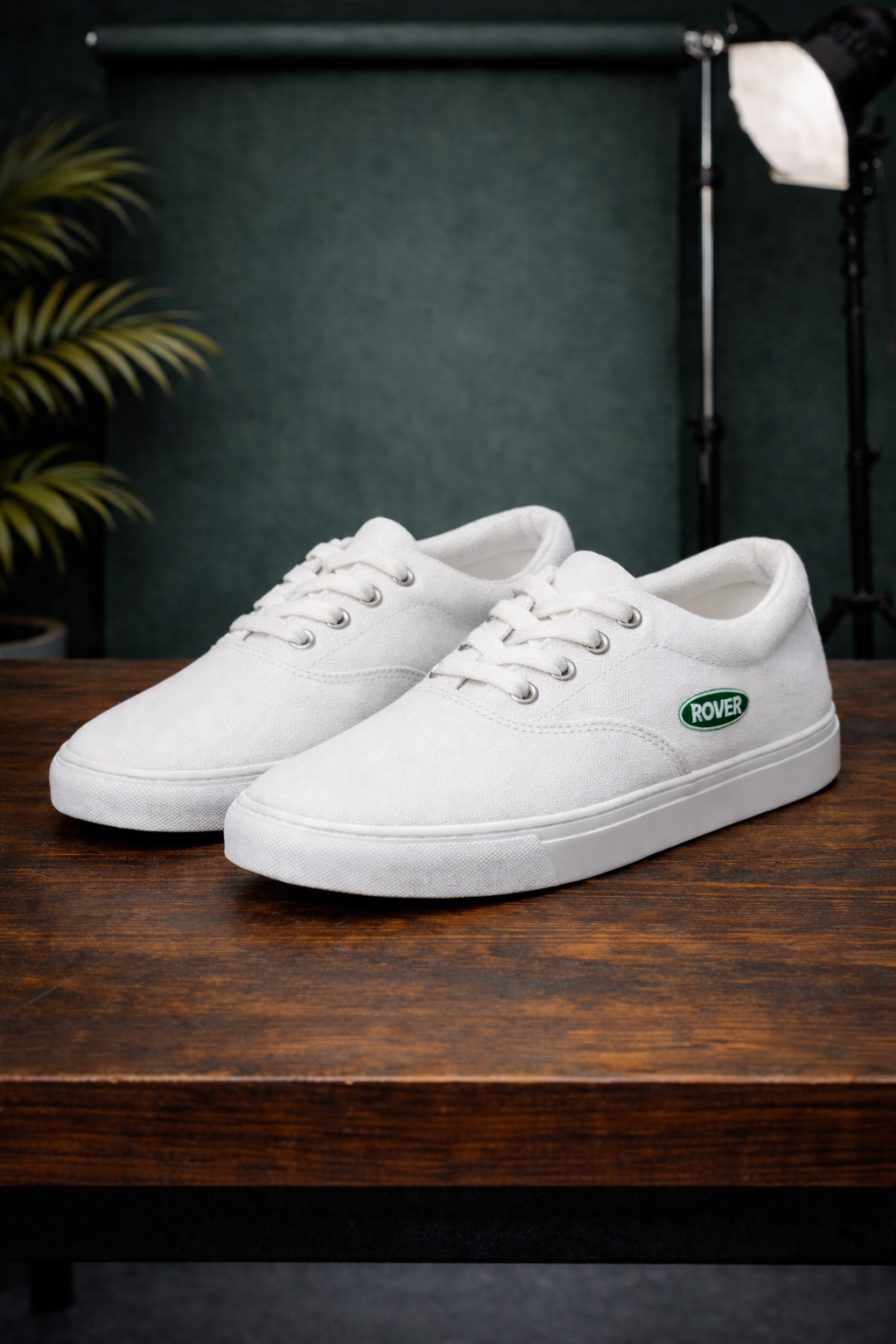 Chaussure Homme - ROVER